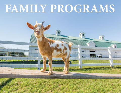 Family Programs