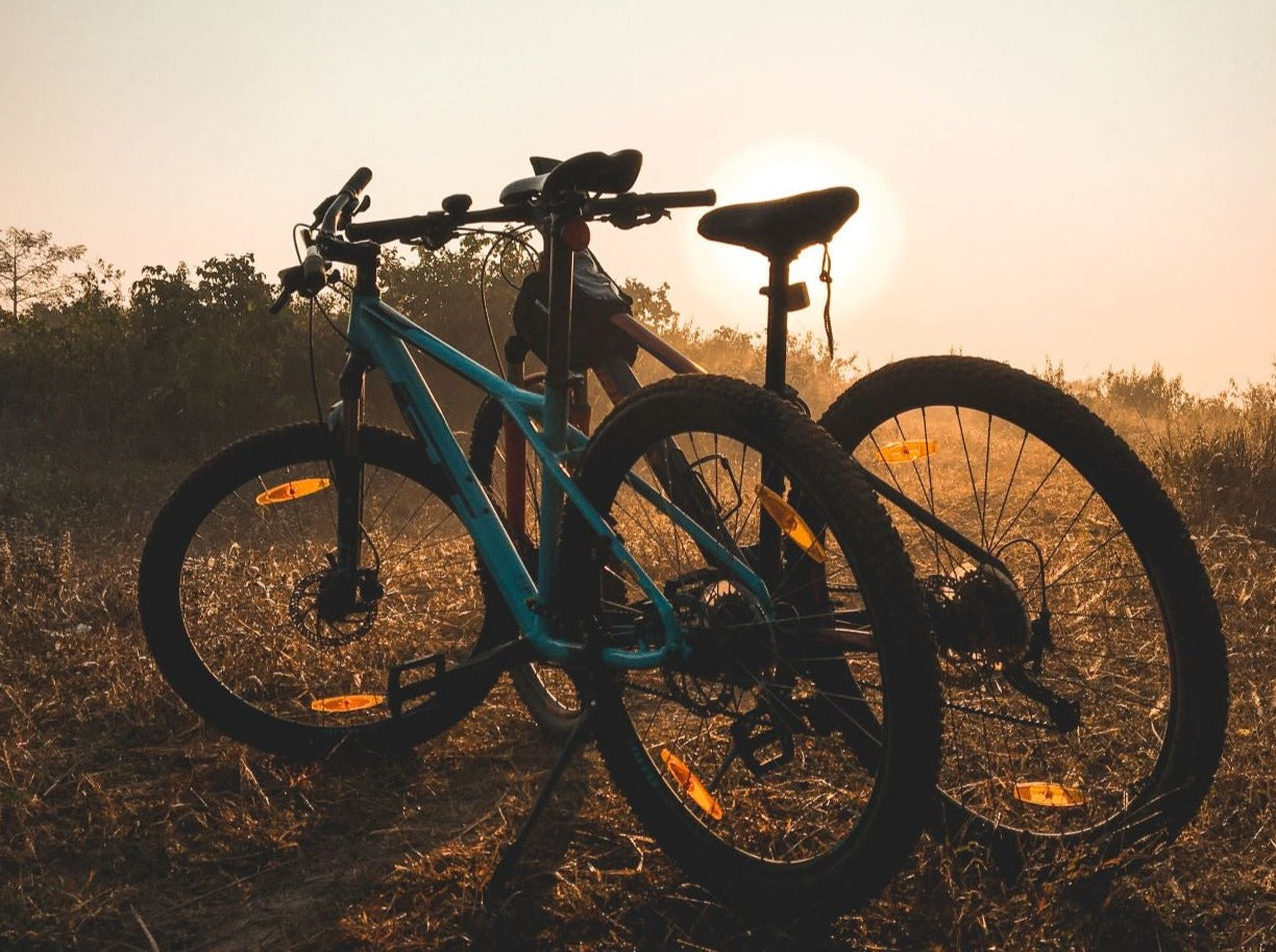Bike Annual Pass