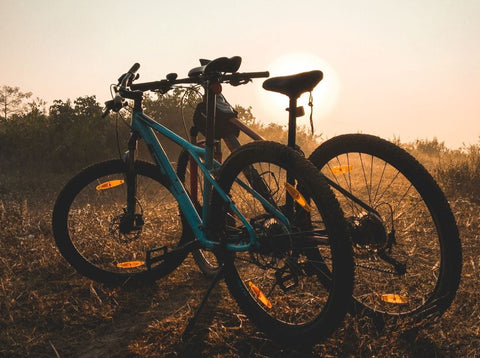 Bike Annual Pass