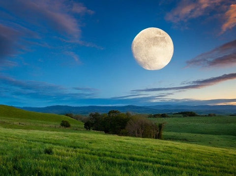 Full Moon Hike