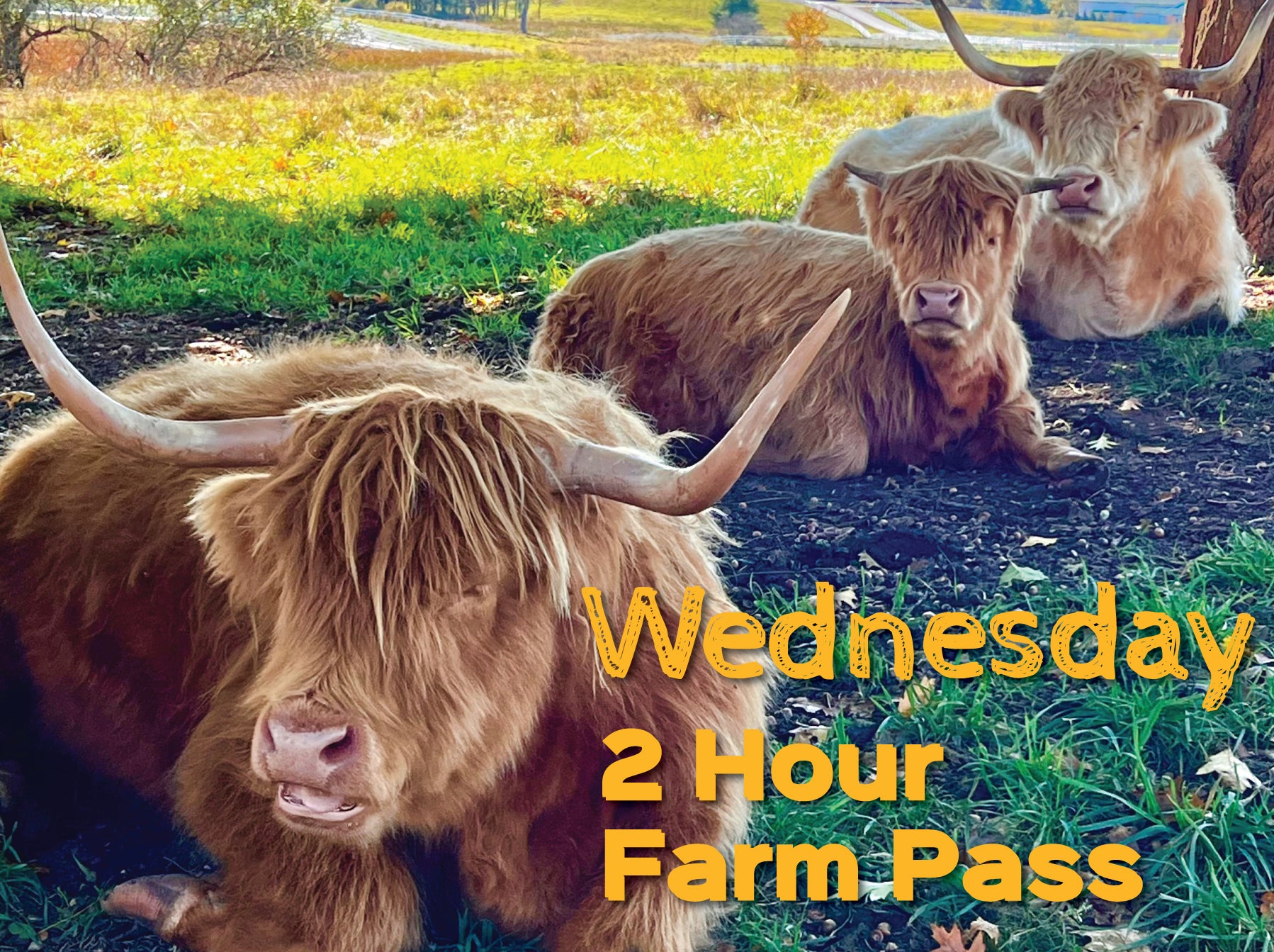 2 Hour Farm Pass Wednesday November 5th
