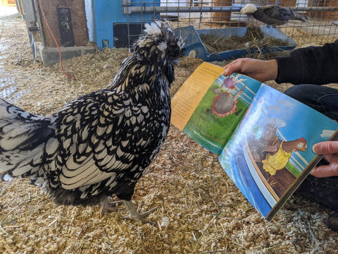 Farmyard Storytime