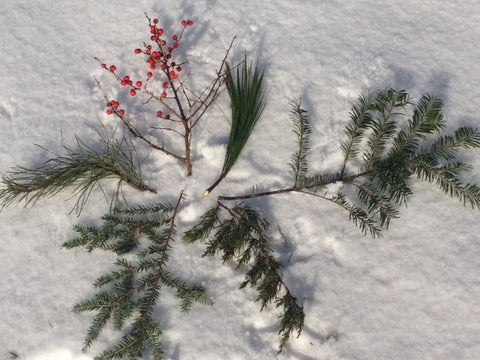 Holiday Balsam Balls