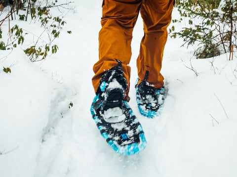 2025/2026 Snowshoe Season Pass