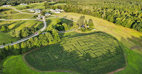 Farm Passes