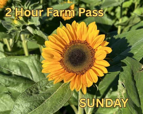 2 Hour Farm Pass with Sunflower Labyrinth - Sunday August 17th
