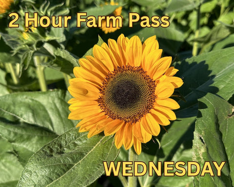 2 Hour Farm Pass with Sunflower Labyrinth - Wednesday August 19th