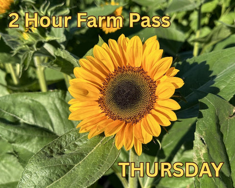 2 Hour Farm Pass with Sunflower Labyrinth - Thursday August 20th