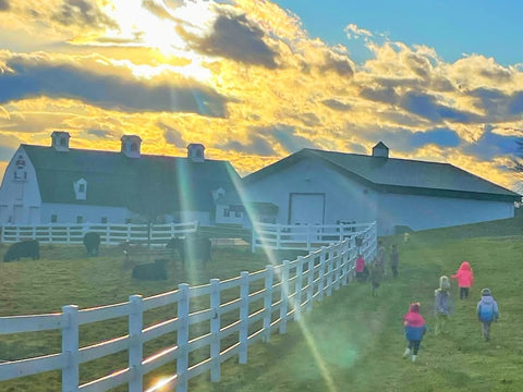 Open Farm Day - Sunday, July 27th - FREE ADMISSION