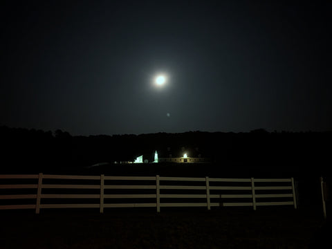 Full Moon Hike
