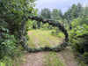 Autumn Equinox Forest Bathing