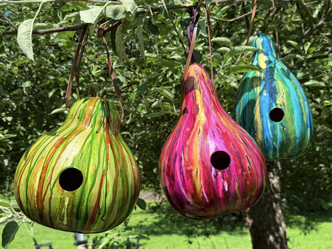 Birdhouse Gourd Painting