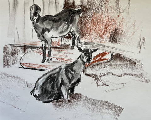 Animal Figure Drawing