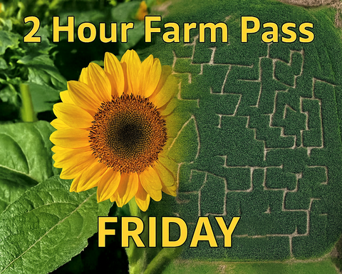 2 Hour Farm Pass with Corn Maze & Sunflower Labyrinth - Friday August 29th