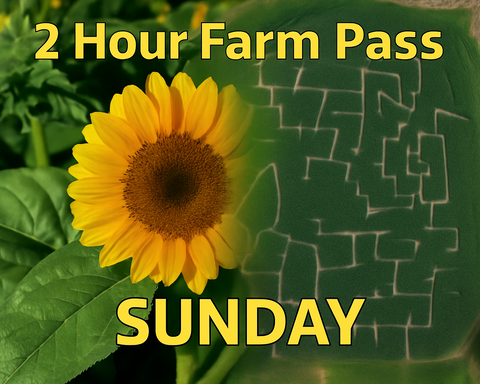 2 Hour Farm Pass with Corn Maze & Sunflower Labyrinth - Sunday August 24th