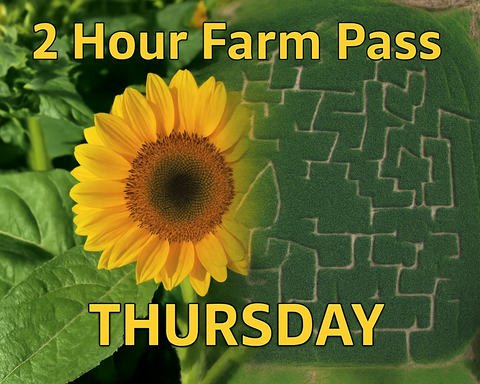 2 Hour Farm Pass with Corn Maze & Sunflower Labyrinth - Thursday August 28th