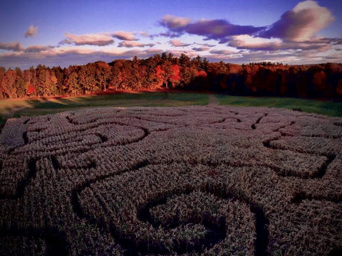 Corn Maze Nights Friday October 27th, 2023