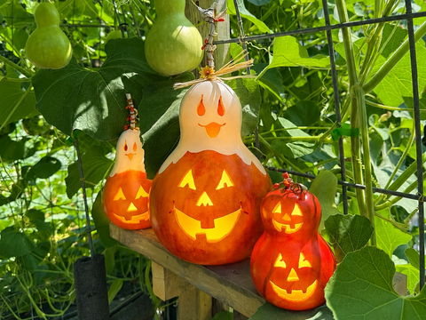 Gourd Jack O' Lantern Lamps