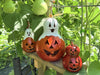 Gourd Jack O' Lantern Lamps