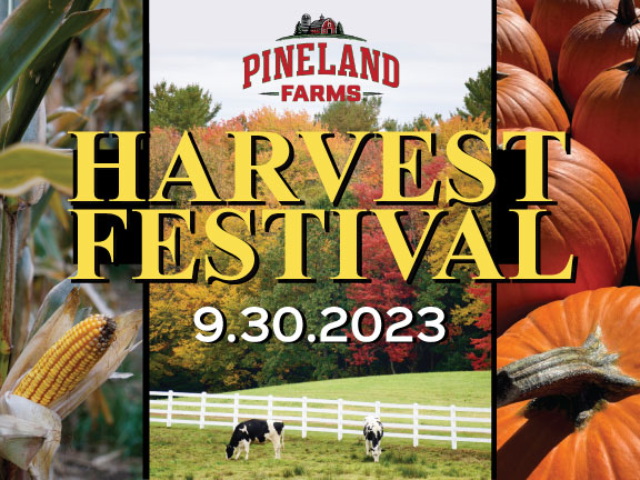 9th Annual Harvest Festival