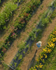 Open Farm Day - Sunday, July 26th - FREE ADMISSION