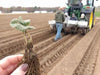 Open Farm Day - Sunday, July 26th - FREE ADMISSION
