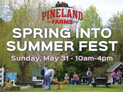 Spring Into Summer Fest