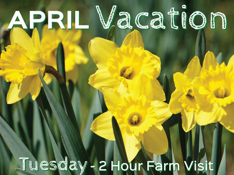2 Hour Farm Visit Tuesday April 16th - VACATION WEEK