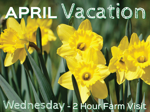 2 Hour Farm Visit Wednesday April 17th - VACATION WEEK