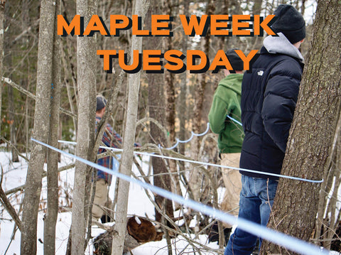2 Hour Farm Visit Maple Week Tuesday March 19th