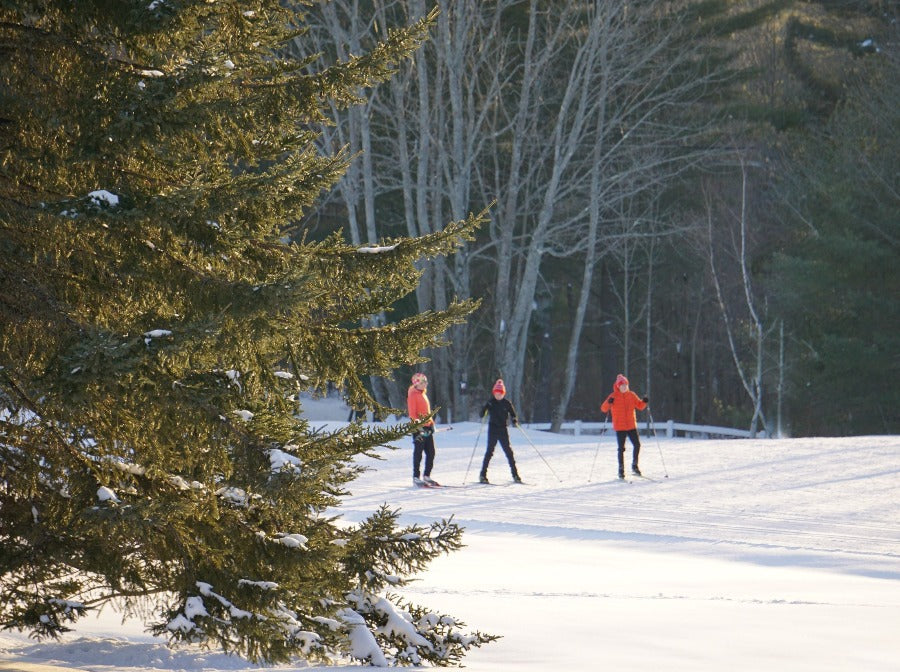 pineland farms cross country skiing