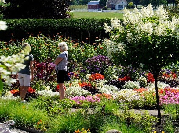 Garden Tour